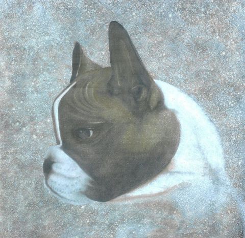 chien